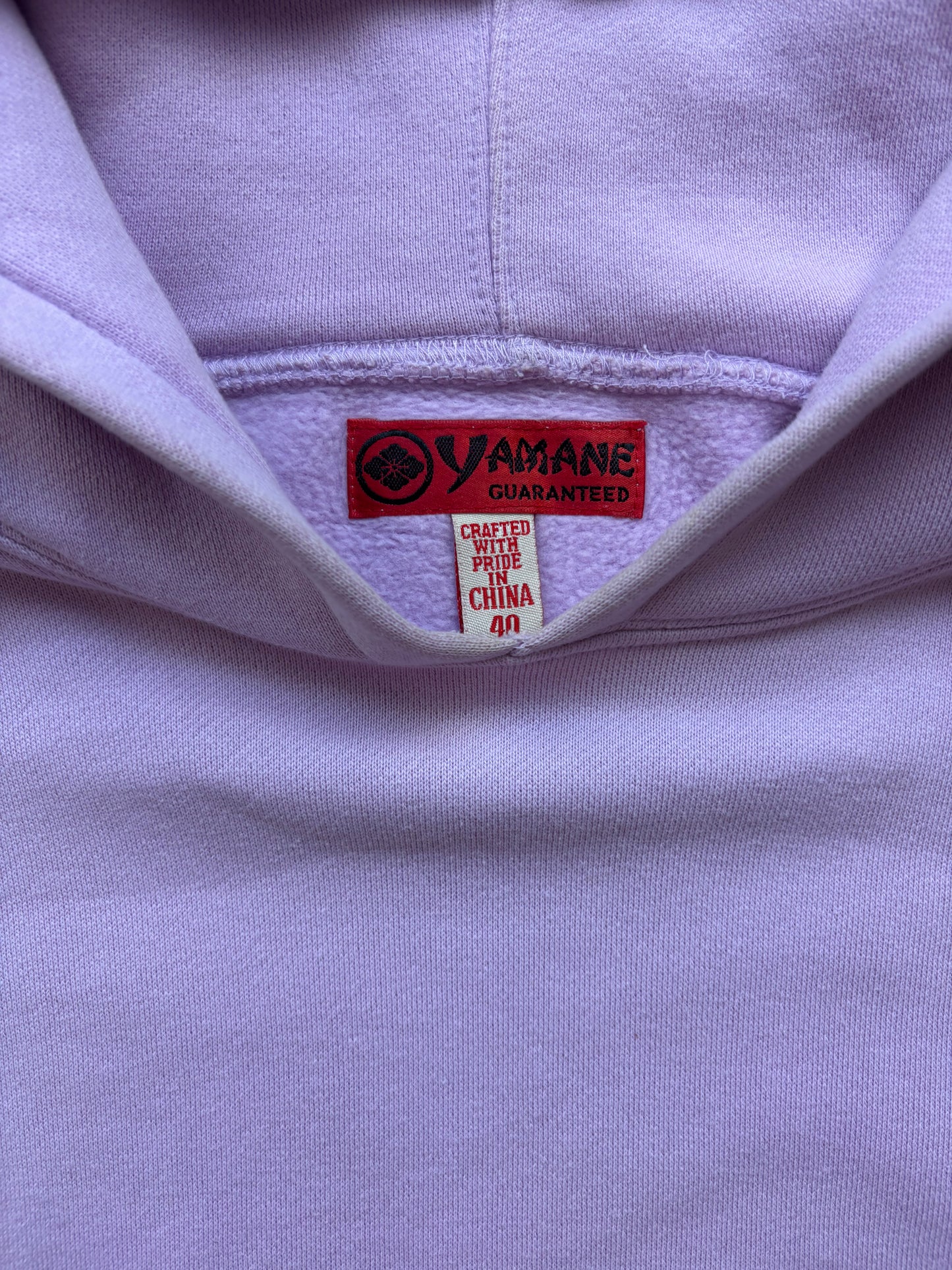 EVISU PURPLE HOODIE (L)