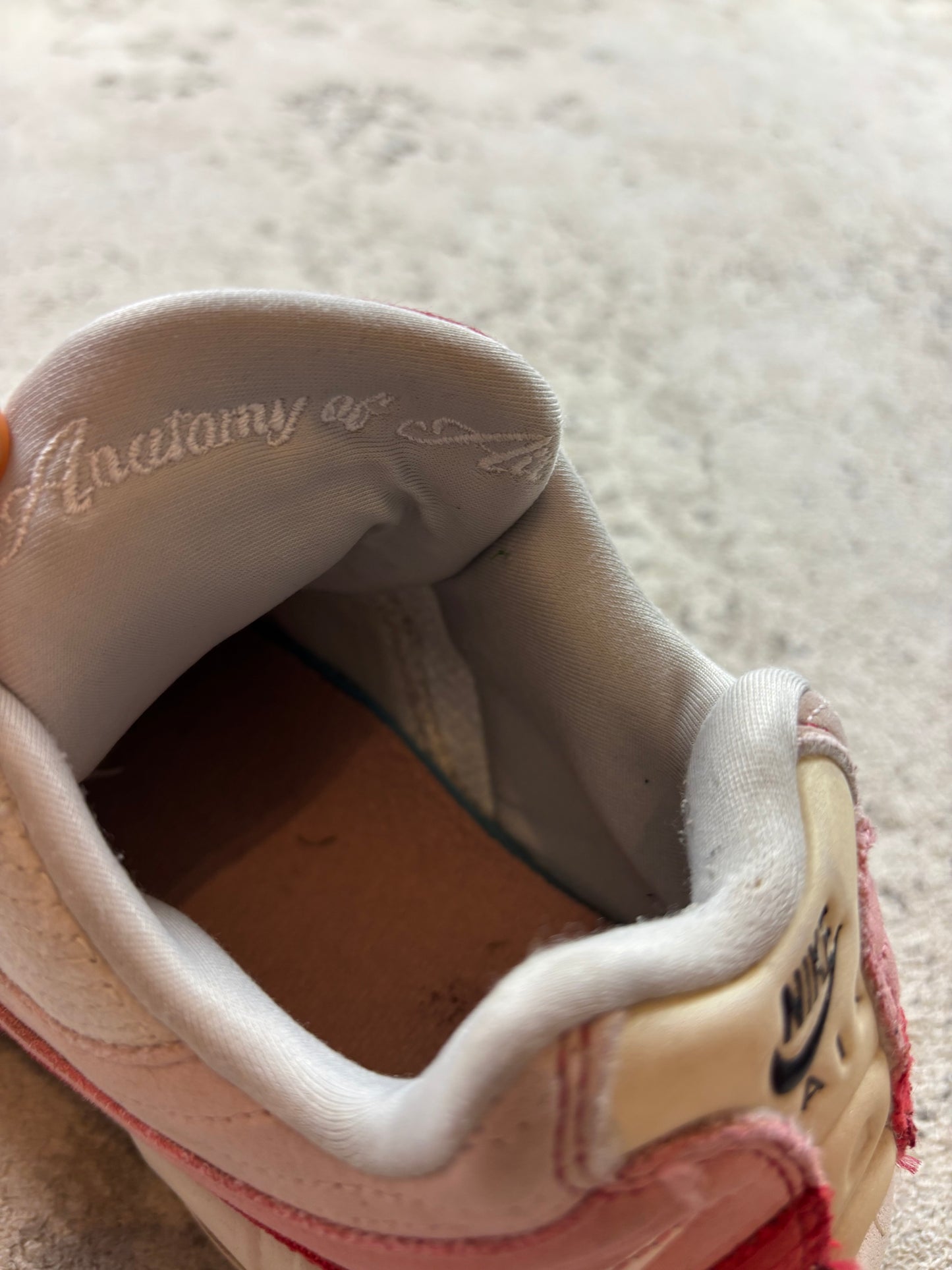 NIKE AIR MAX 95s ANATOMY OF AIR SNEAKER (39)