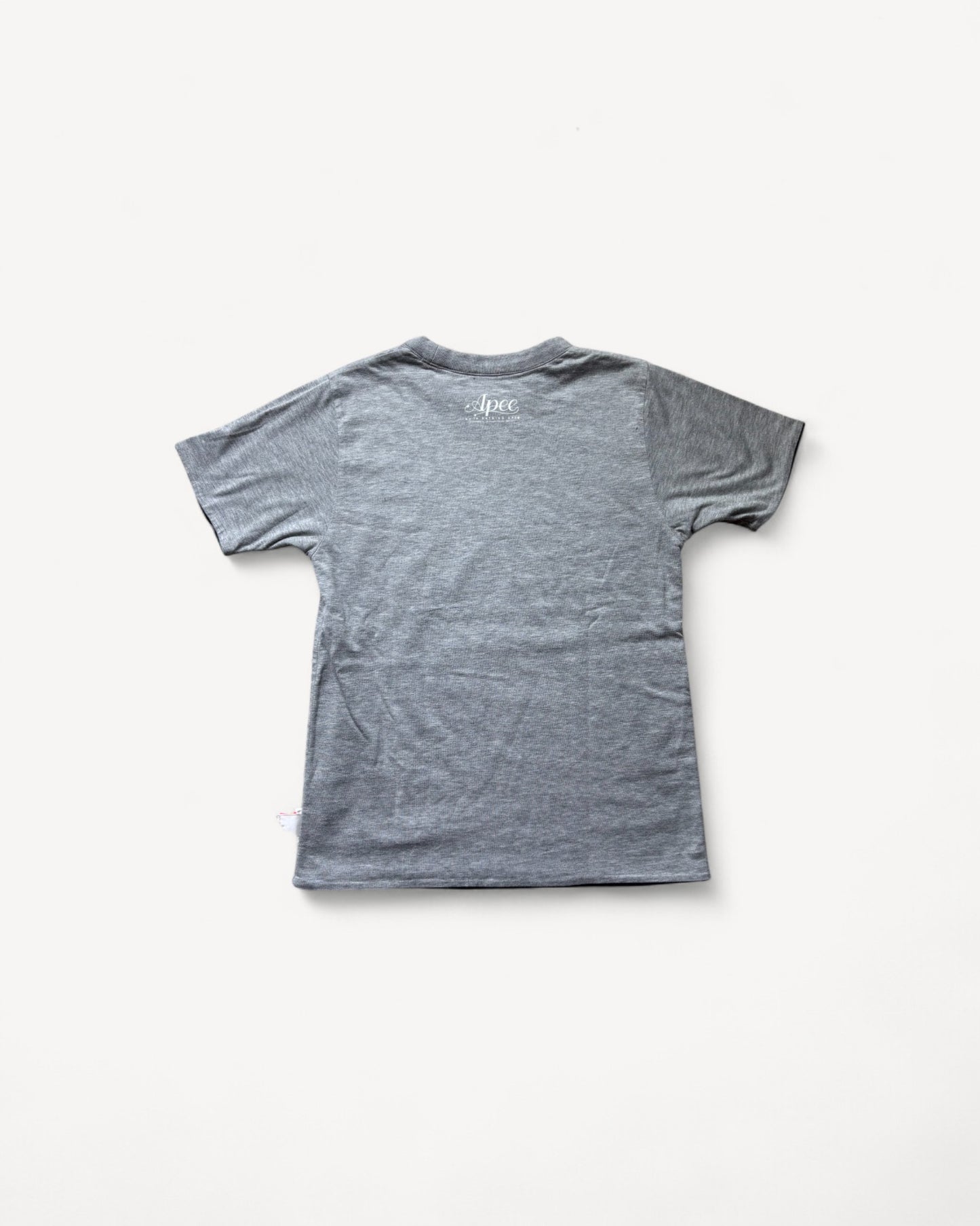 BAPE REVERSIBLE GREY T-SHIRT (XS)