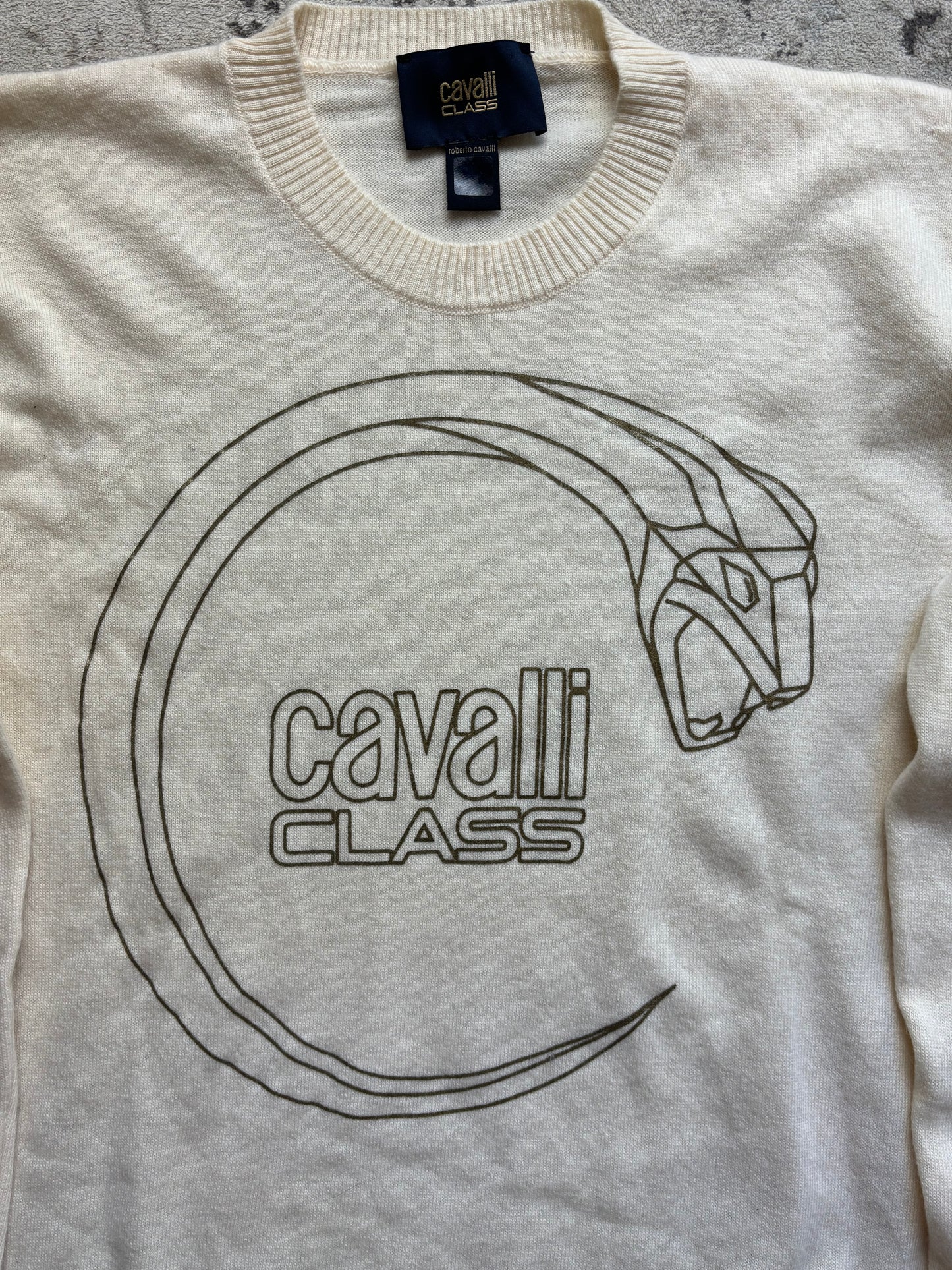 ROBERTO CAVALLI KNIT (M)