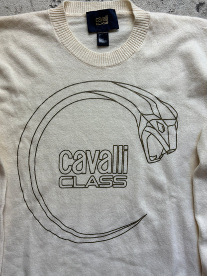 ROBERTO CAVALLI KNIT (M)