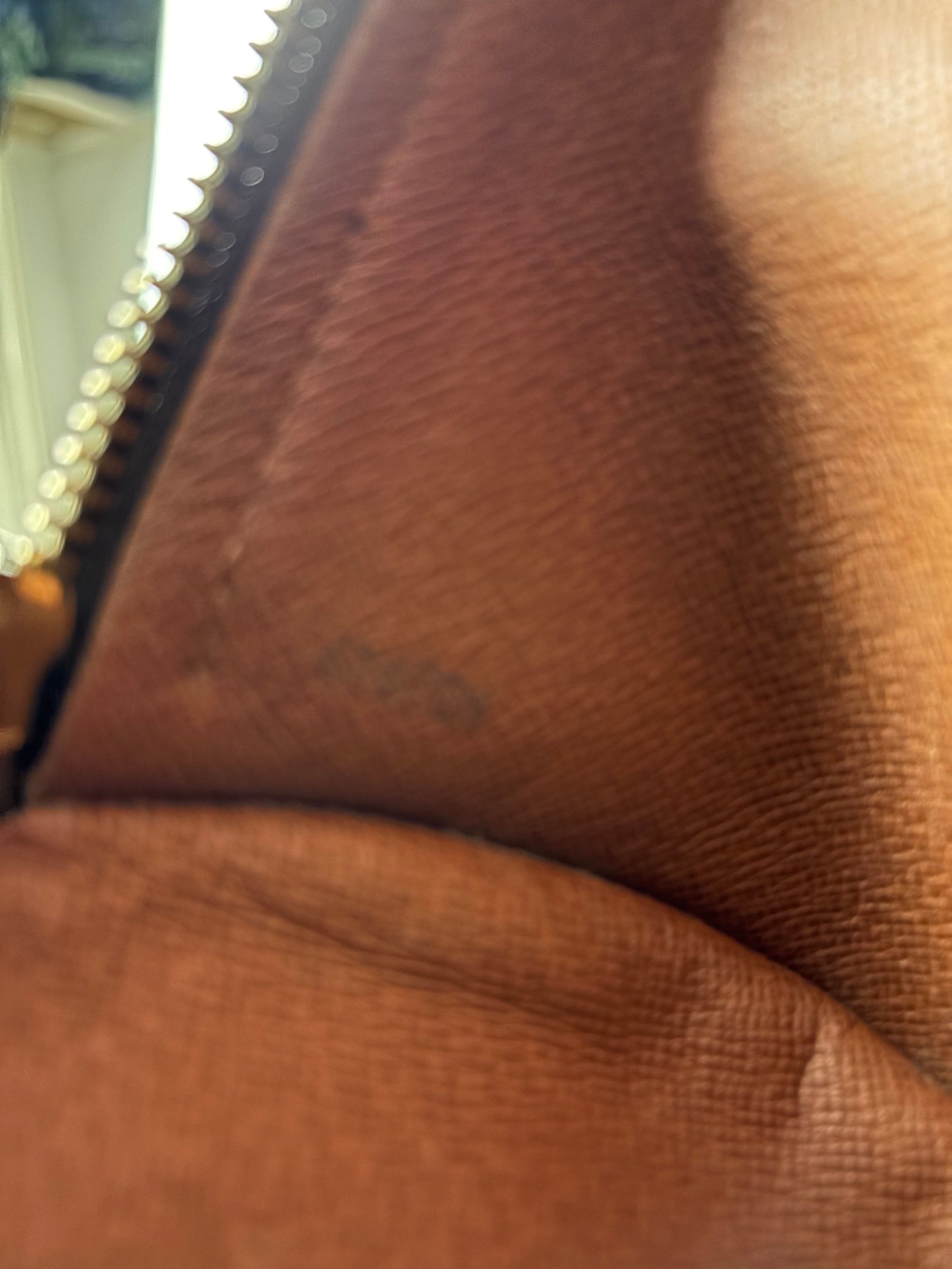 LOUIS VUITTON PAPILLION BAG