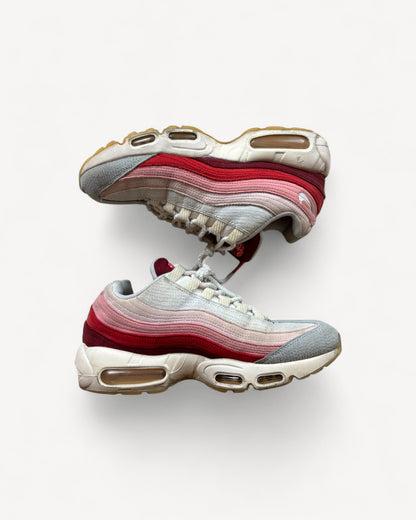 NIKE AIR MAX 95s ANATOMY OF AIR SNEAKER (39)