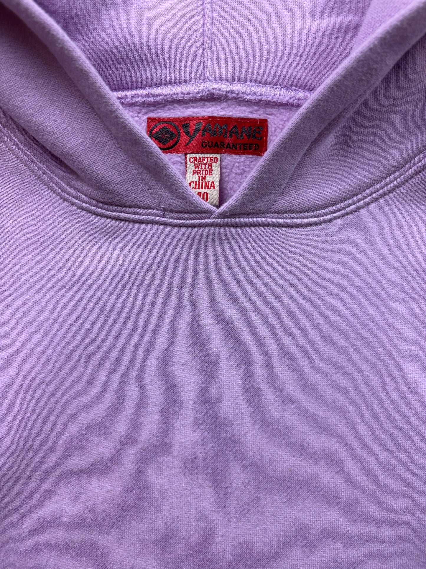 EVISU PURPLE HOODIE (L)