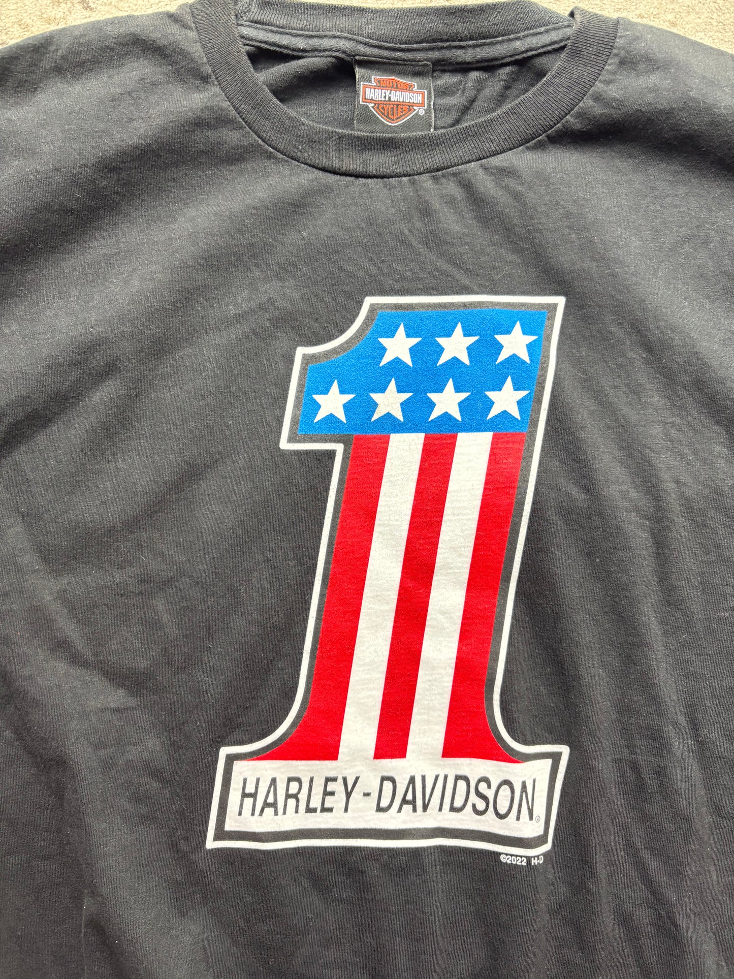 HARLEY DAVIDSON T-SHIRT (L)